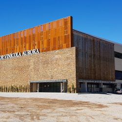 Vinícola Aurora inaugura a fábrica mais moderna, sustentável e automatizada do setor no Brasil