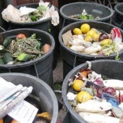 Pesquisa da Embrapa aponta desperdício 128 quilos por família ao ano em alimentos