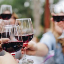 Vinho brasileiro tem mais “saúde” que sul-americanos e europeus, diz estudo