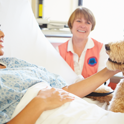 Assembleia legislativa aprova projeto que permite presença de pets em hospitais