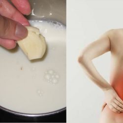 Os benefícios de alho com leite de coco
