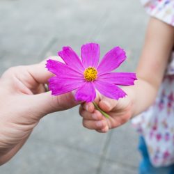 Como ensinar a gratidão às crianças