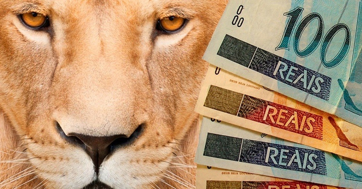 declaração-de-imposto-de-renda1