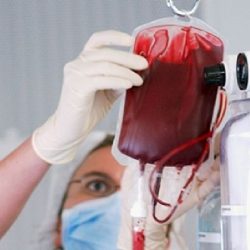 Na próxima quarta-feira tem Dia D de doação de sangue