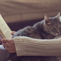 Livros para você ler enquanto fica aconchegada com o seu pet nos dias frios