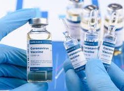 Rússia aprova regulamentação da primeira vacina