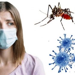Estudo sugere que histórico de dengue ajuda em imunidade para covid-19