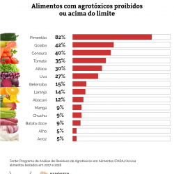 Laranja, pimentão e goiaba: alimentos campeões de agrotóxicos acima do limite