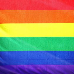 Coluna | Direitos que a comunidade LGBTQIA+ têm e não sabem