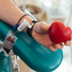 Ministério da Saúde lança campanha de doação de sangue