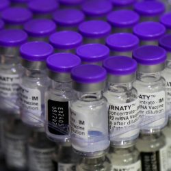 Vacina da Pfizer perde eficácia rapidamente contra a variante Delta do coronavírus