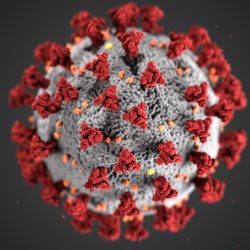 Variante norte-americana do coronavírus pode ser até 60% mais letal
