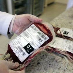 Tacchini pode bloquear cirurgias eletivas por falta de sangue