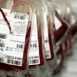Bento poderá ter novas datas para coleta de sangue no município