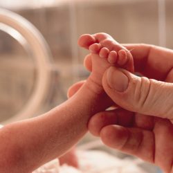 Ciência em busca de melhorar o bem-estar de bebês prematuros