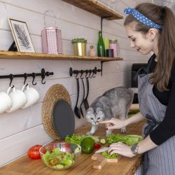 Vantagens e desvantagens da alimentação natural para gatos