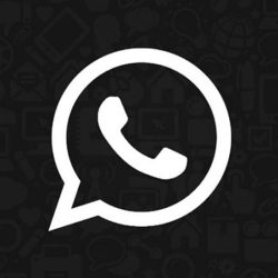 WhatsApp permite denunciar mensagens específicas depois de polêmica