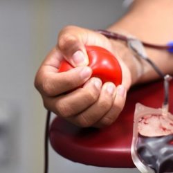 Condição sexual não é mais impeditivo para doar sangue