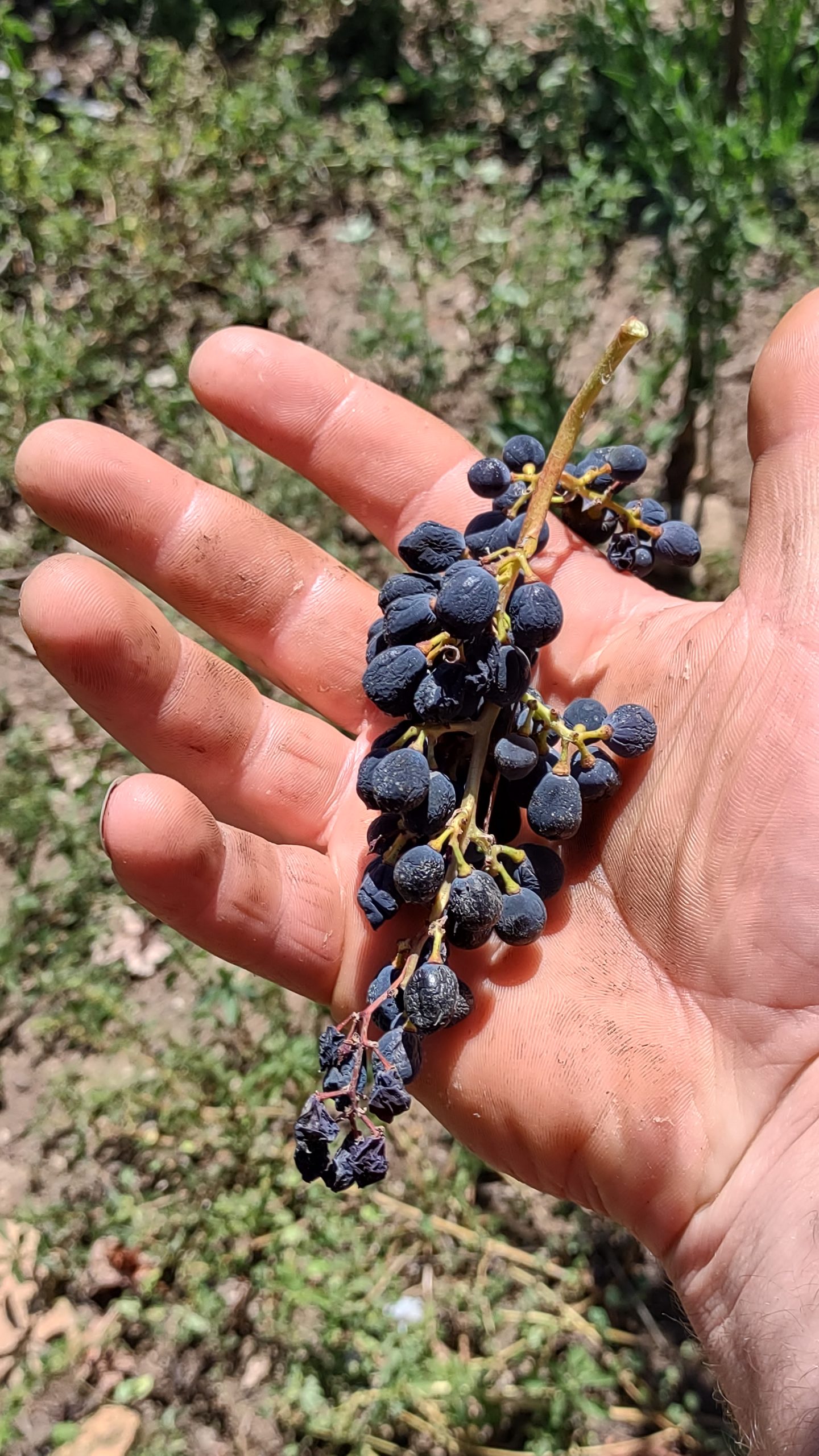 IMG_20220113_103403324_HDR