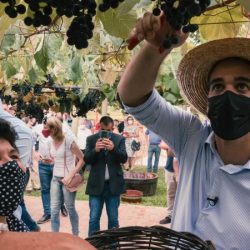 Leite visita Bento Gonçalves, participa da pisa das uvas e confere pavimentação