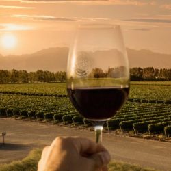 Vinho e espumante reduz risco de Covid-19, afirma estudo