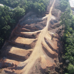 Caso sobre desmatamento em Bento está sendo investigado pelo Ministério Público