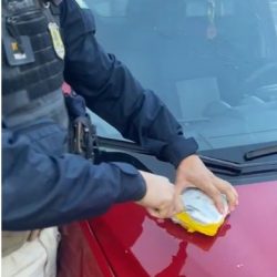 Polícia Rodoviária federal apreende meio quilo de cocaína