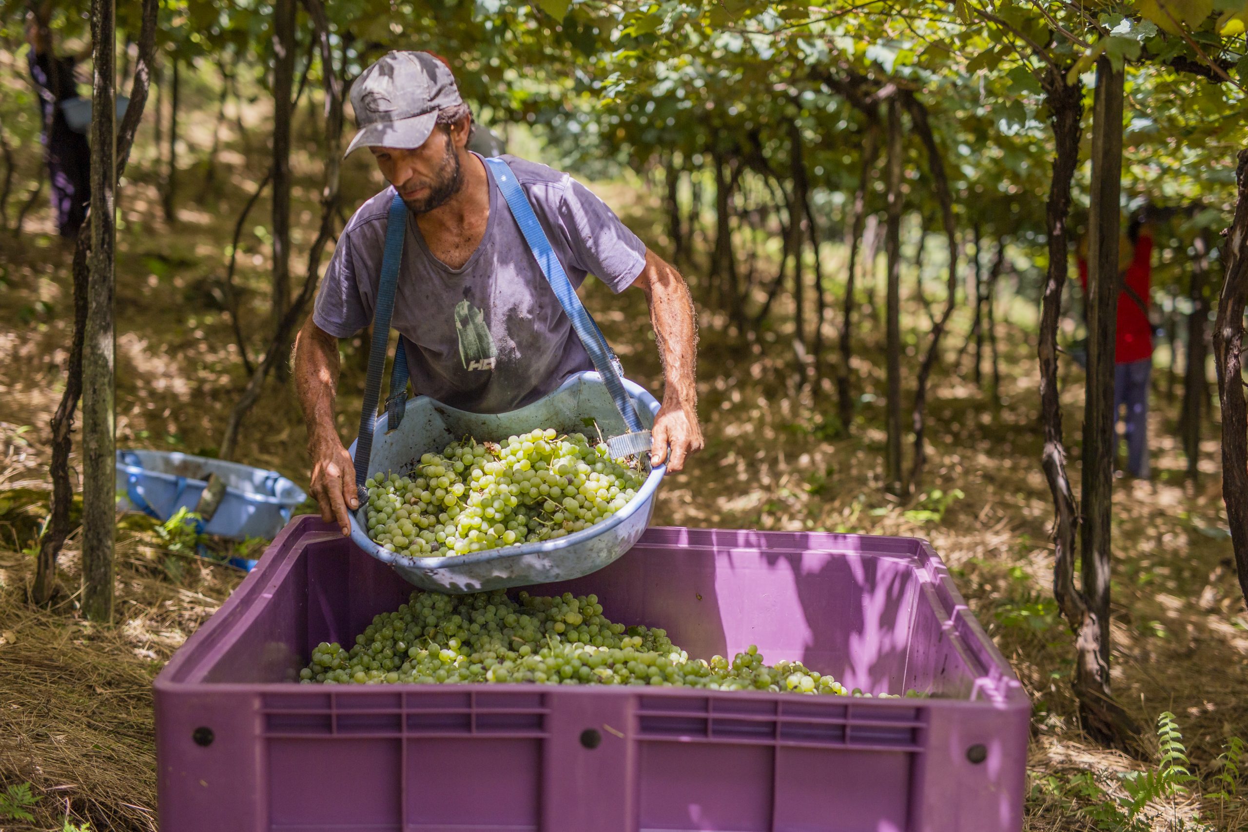 Crédito das imagens - Augusto Tomasi (8)