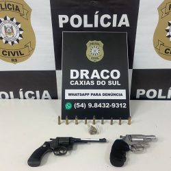 Homem é preso por posse ilegal de duas armas de fogo no bairro Conceição