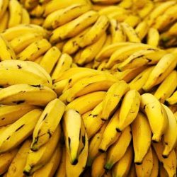 Banana ajuda na prevenção de doenças cardiovasculares