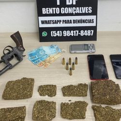 Polícia Civil realiza apreensão de meio quilo de drogas com adolescente no Loteamento Bertollini
