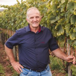 Cooperativa vinícola Aurora reelege direção do Conselho de Administração