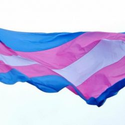 Lei Maria da Penha: medida passa valer para mulheres trans 