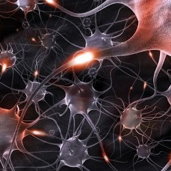 Pesquisadores descobrem neurônios responsáveis pela tomada de decisão   