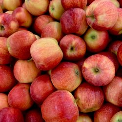 Fiscalização: Agricultura averigua presença de resíduos de agrotóxicos em maçãs de SC e do RS   
