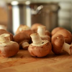 Conheça os benefícios dos cogumelos para o cérebro    