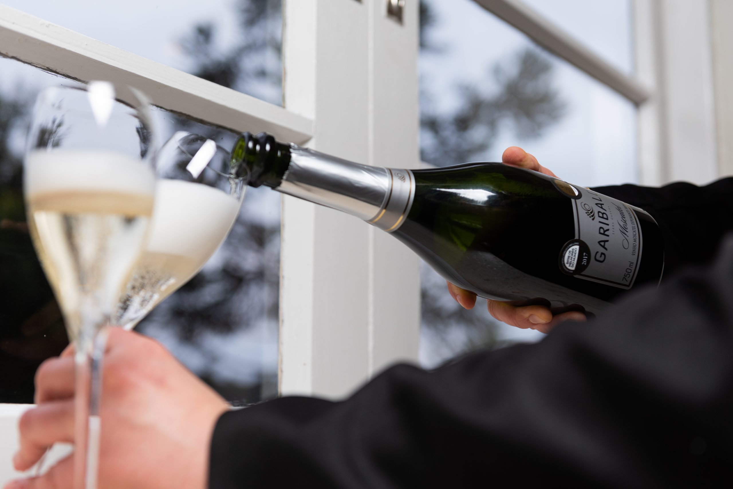 Cooperativa Vinícola Garibaldi espera superar cifras de R＄ 1 milhão em exportações ao longo de 2022.