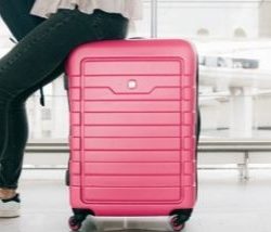 Despacho gratuito de bagagens em voos é aprovado