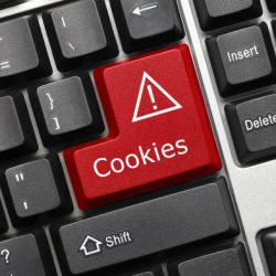 Você aceita cookies online mesmo não sabendo o que são esses códigos?