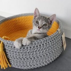 Lindas cestas de crochê para gatos feitas por você