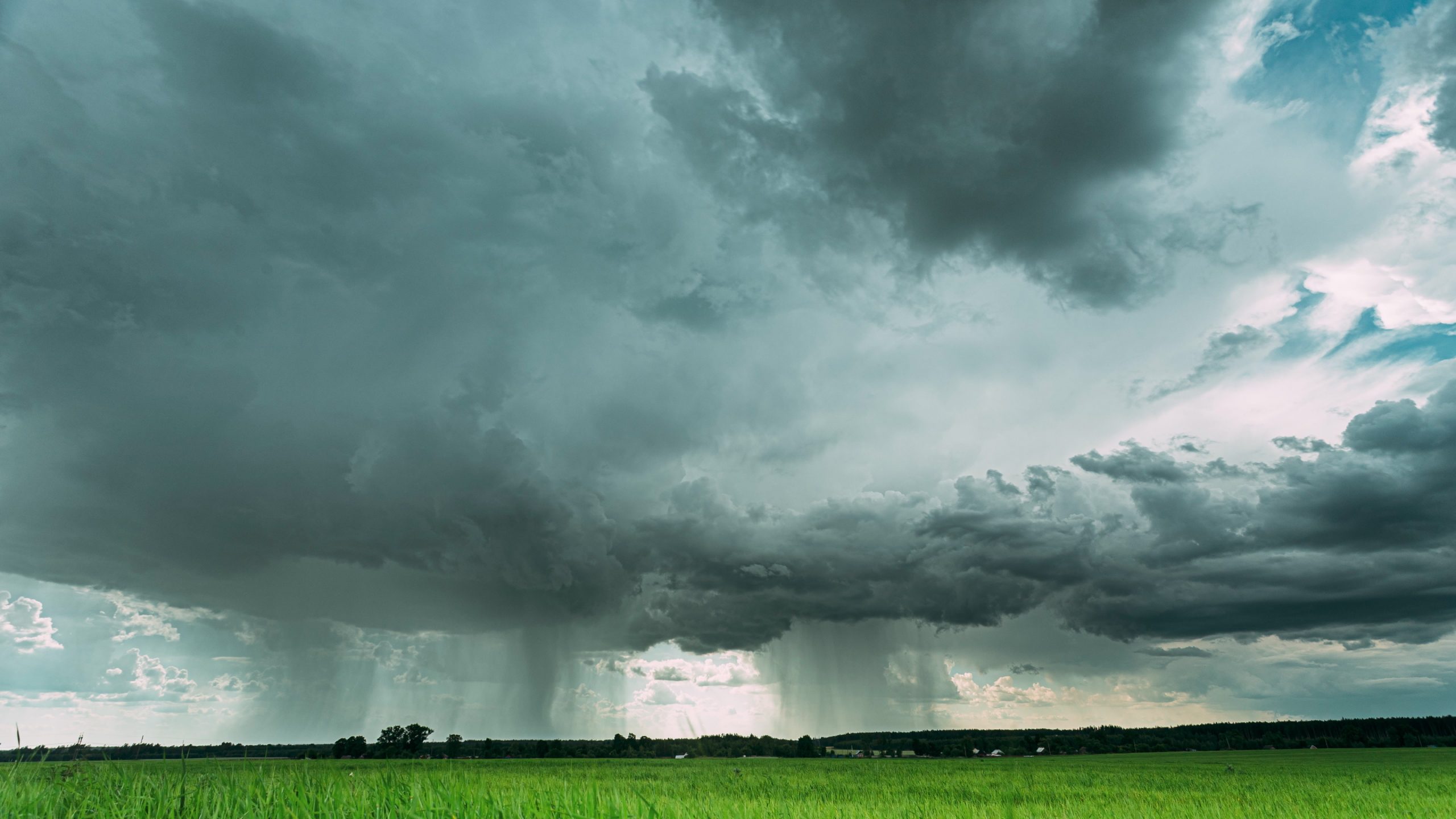 Rain Rainy Clouds Above Countryside Rural Field Landscape With Young Green Wheat Sprouts In Spring Summer Cloudy Day. Heavy Clouds Above Agricultural Field. Young Wheat Shoots 4K ,