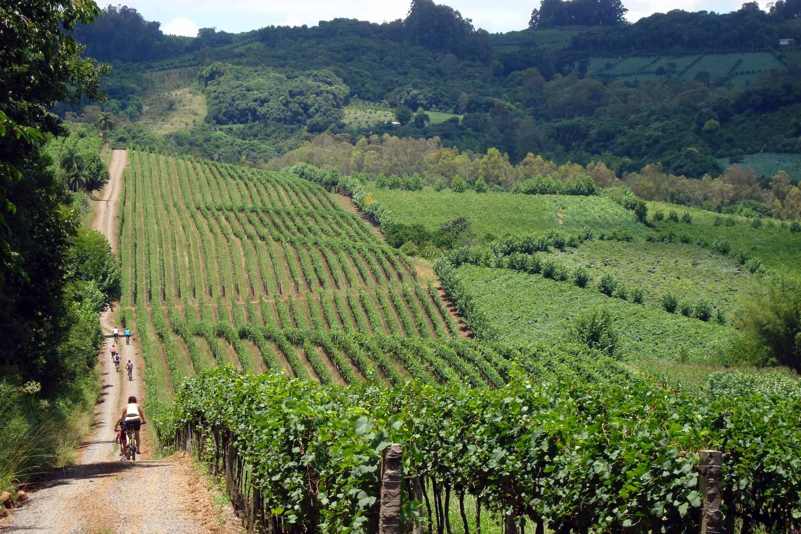 309933_696737_passeios_de_final_de_ano__16_