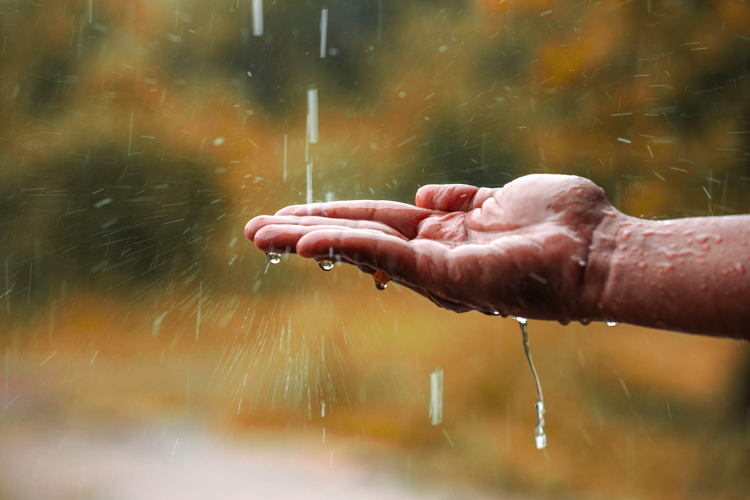 rain water falling on hand