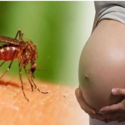 Um terço dos filhos de gestantes infectadas com zika apresentam problemas congênitos