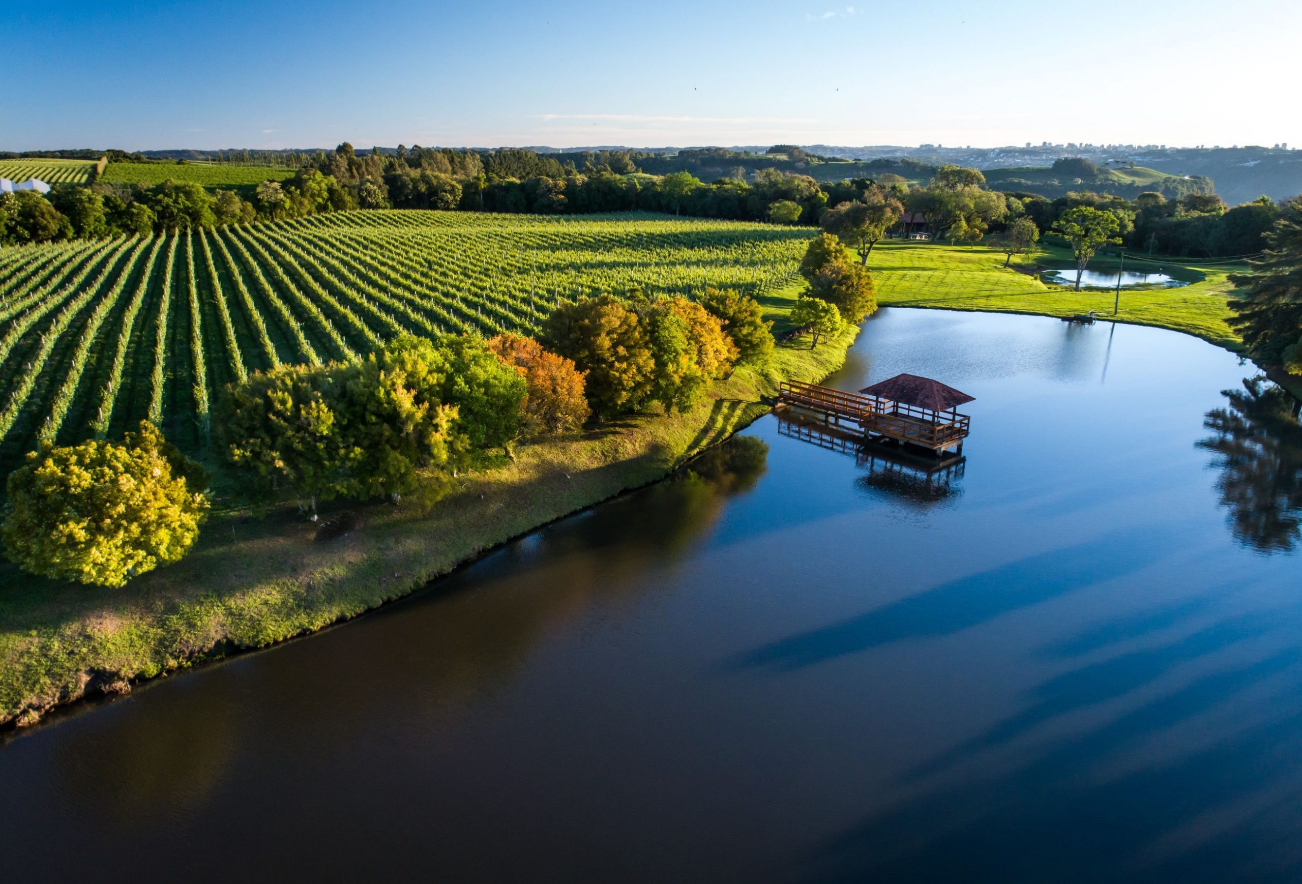 Vinicola_Aurora_Pinto_Bandeira_6_2494876042