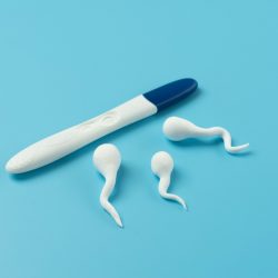 Fertilidade em declínio? Contagem de espermatozoides vem caindo em todo o mundo