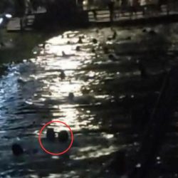 100 pessoas caem no rio Mampituba depois de ponte Pênsil romper entre RS e SC