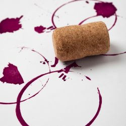 Embrapa lança nova edição do curso online de elaboração de vinhos e suco de uva