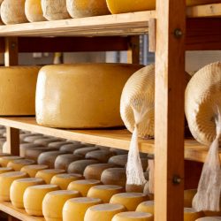 Três queijos brasileiros aparecem entre os 100 melhores do mundo