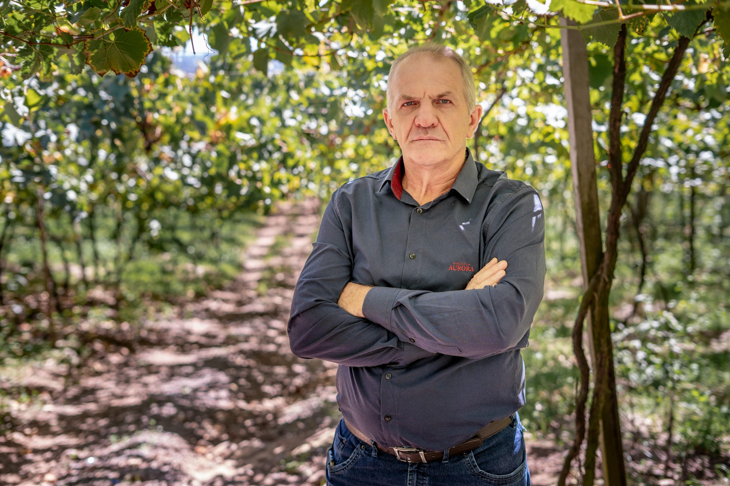 Créditos: Zeto Teloken